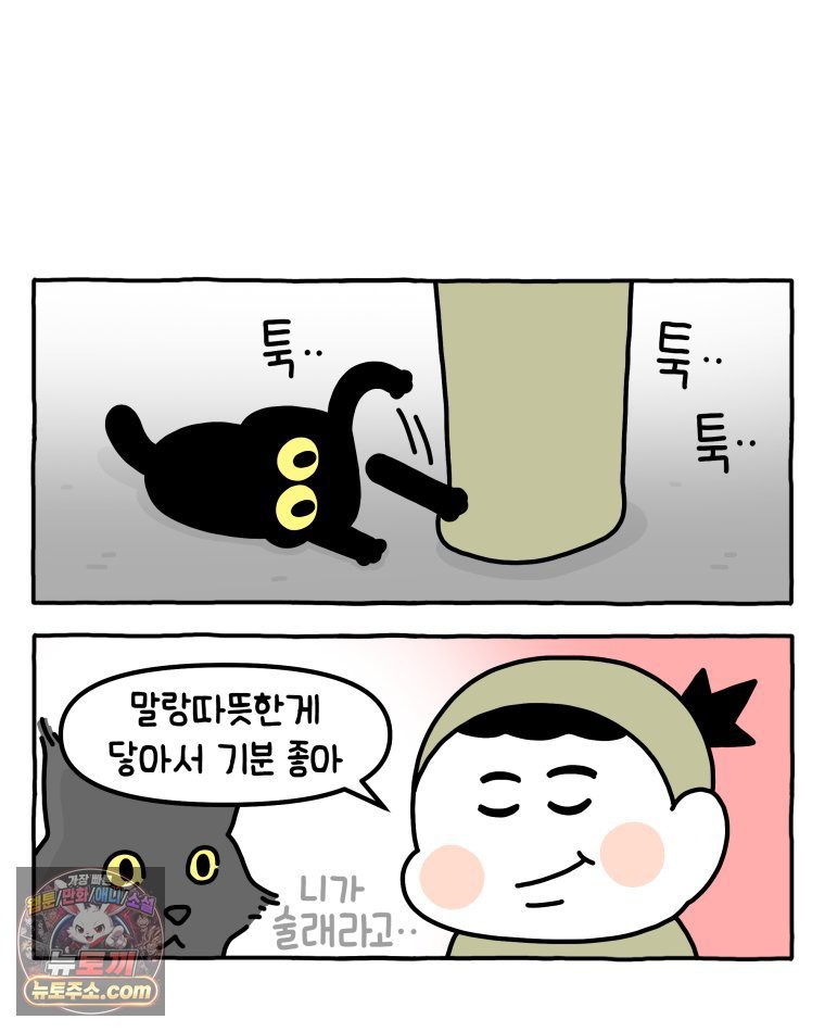011.jpg
