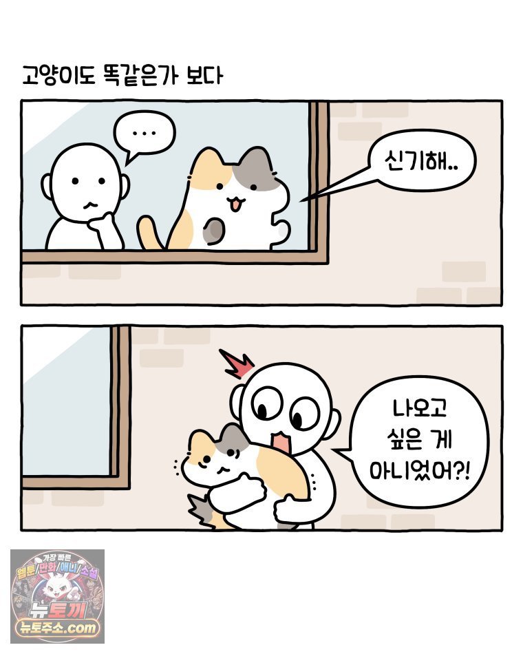 010.jpg