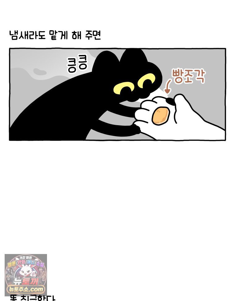 005.jpg