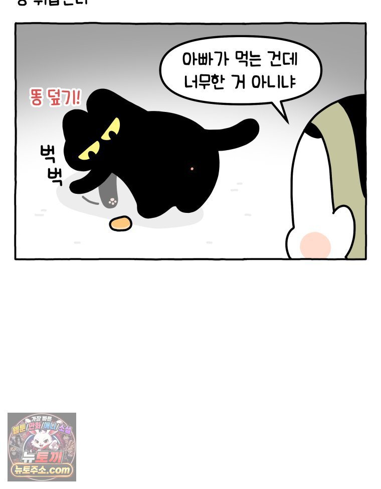 006.jpg