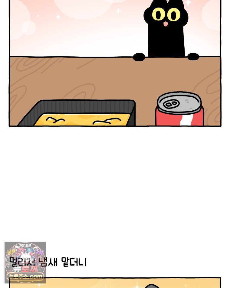 009.jpg