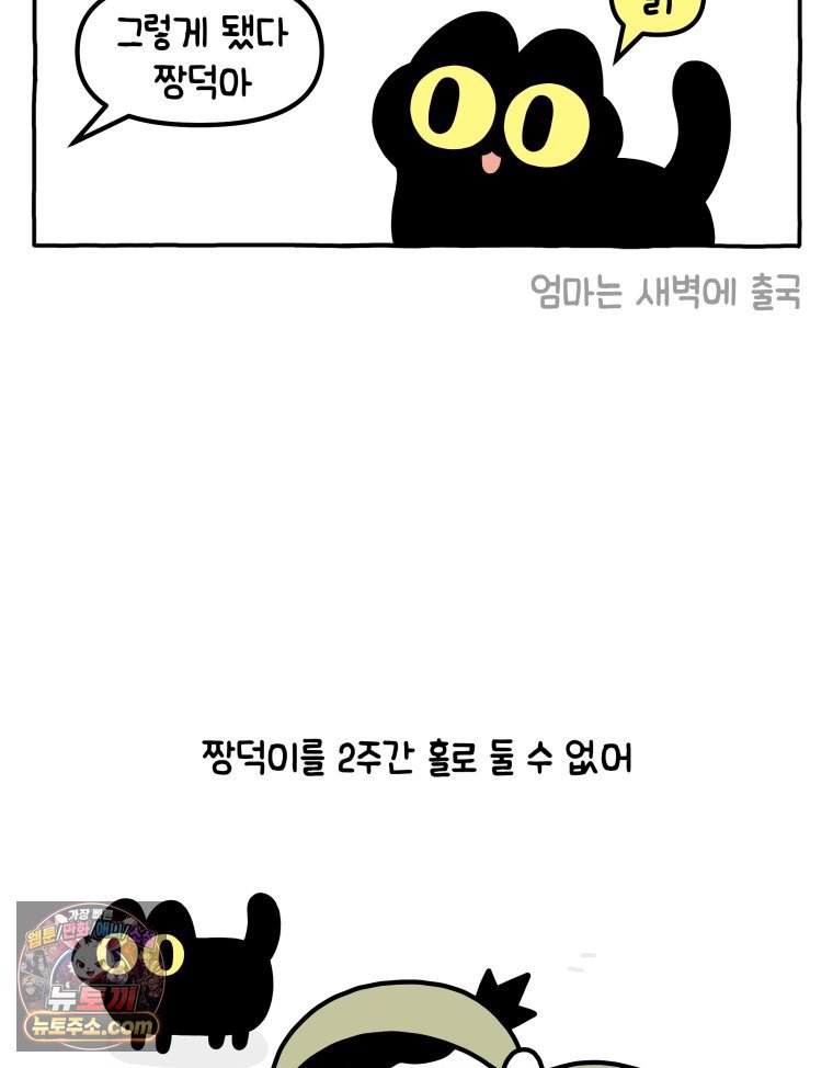 003.jpg