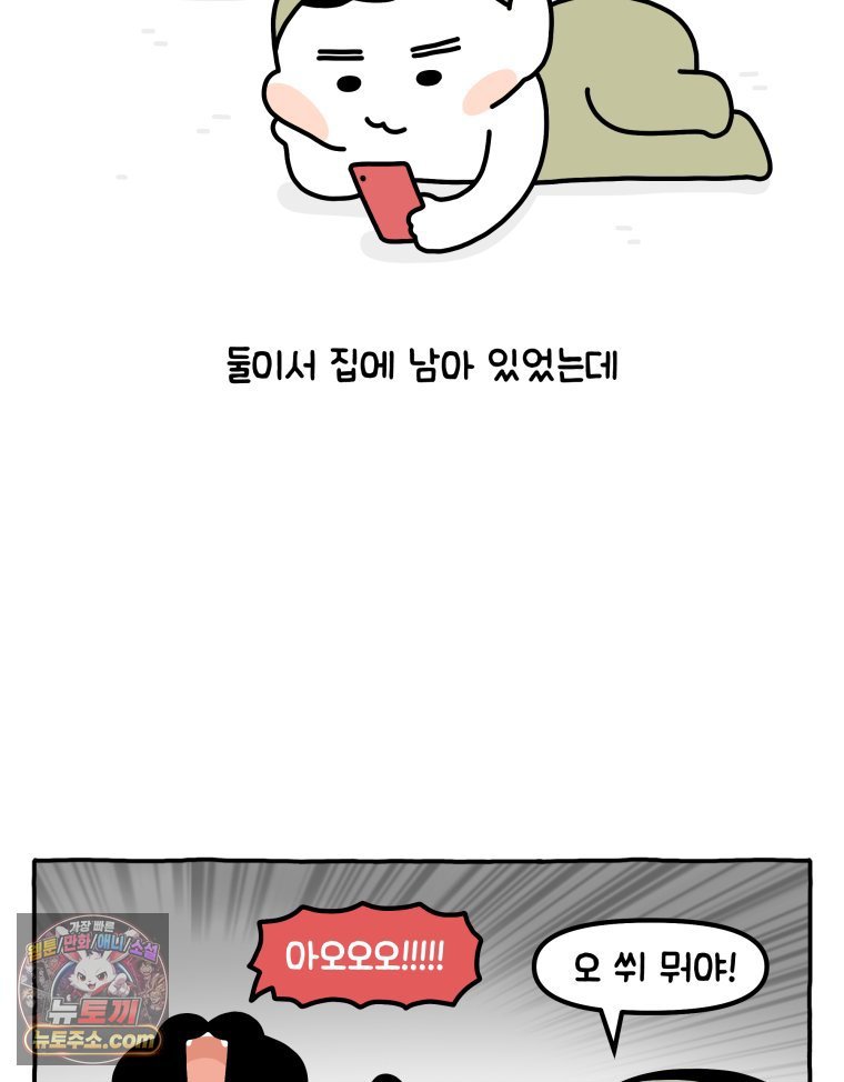004.jpg