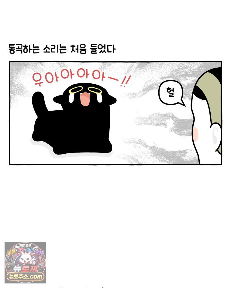 009.jpg