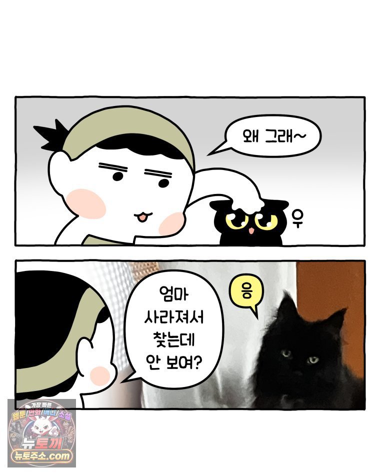 011.jpg