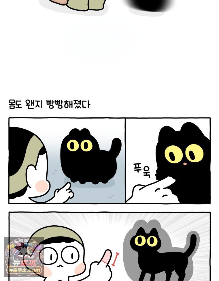 005.jpg
