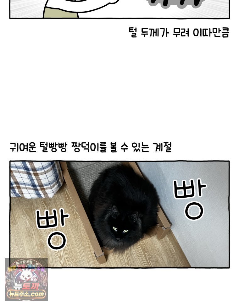 006.jpg