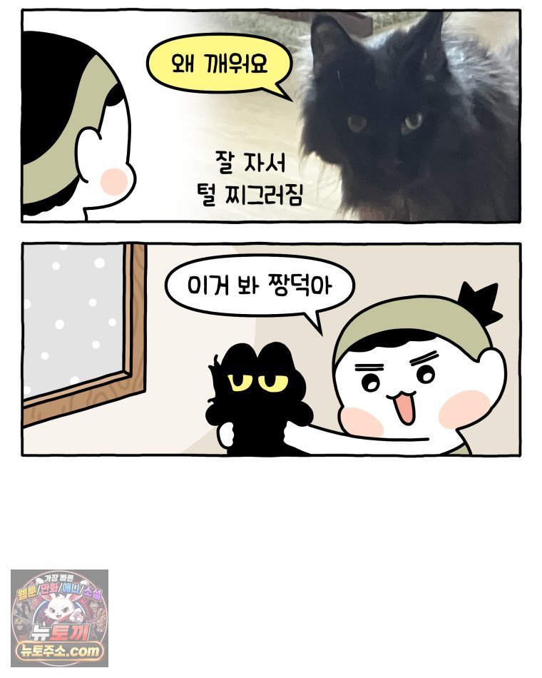011.jpg
