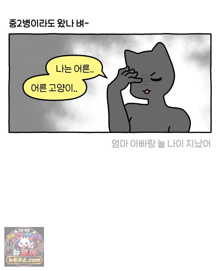 009.jpg
