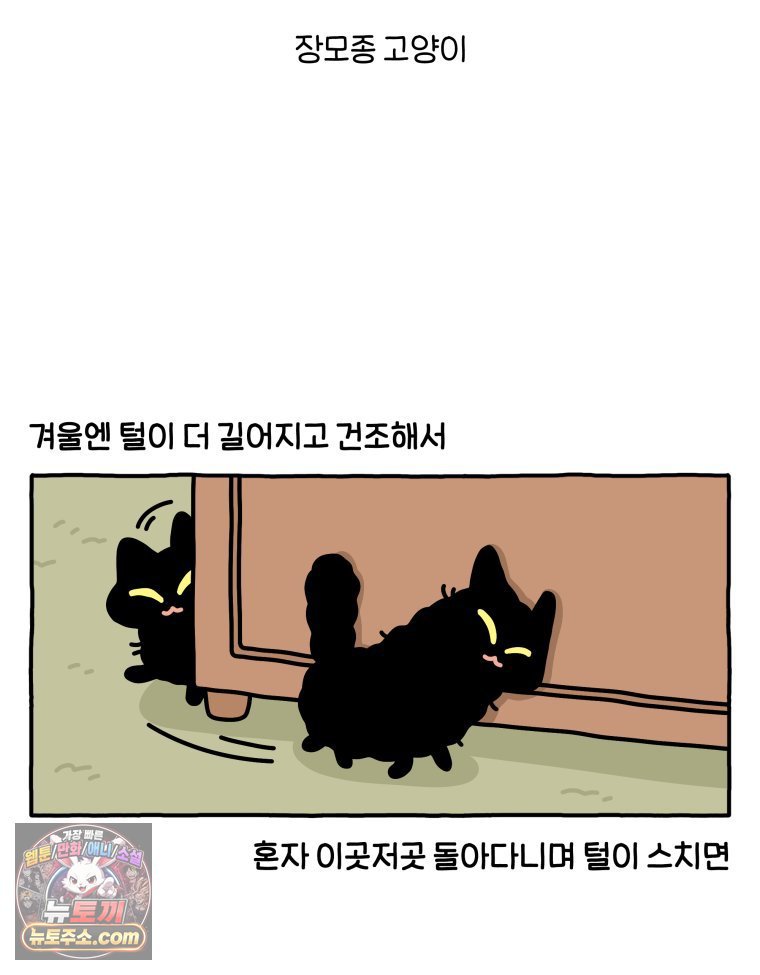 007.jpg