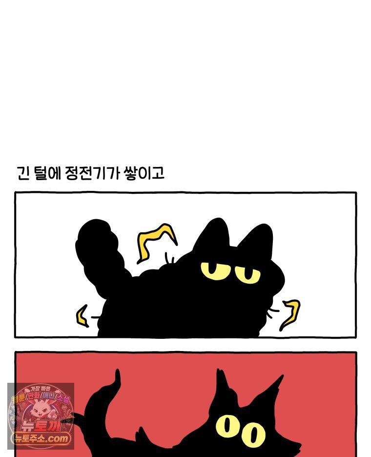 008.jpg