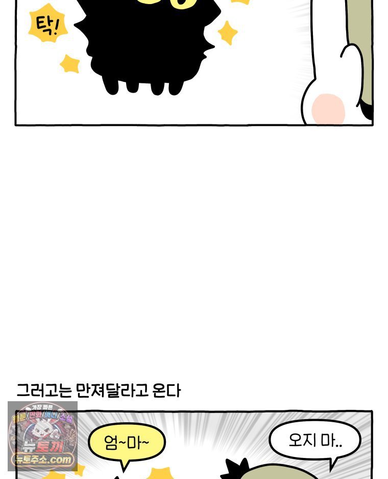 010.jpg