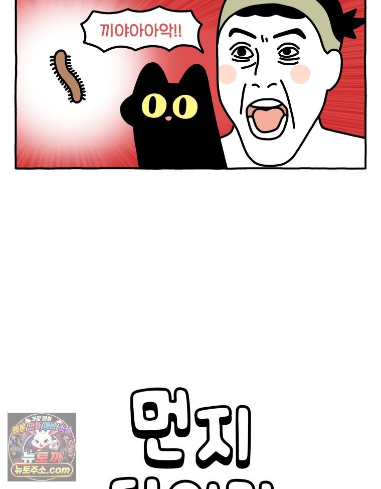 005.jpg
