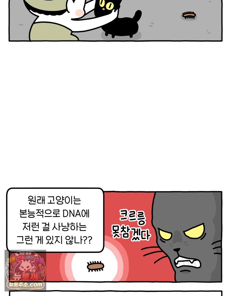 009.jpg