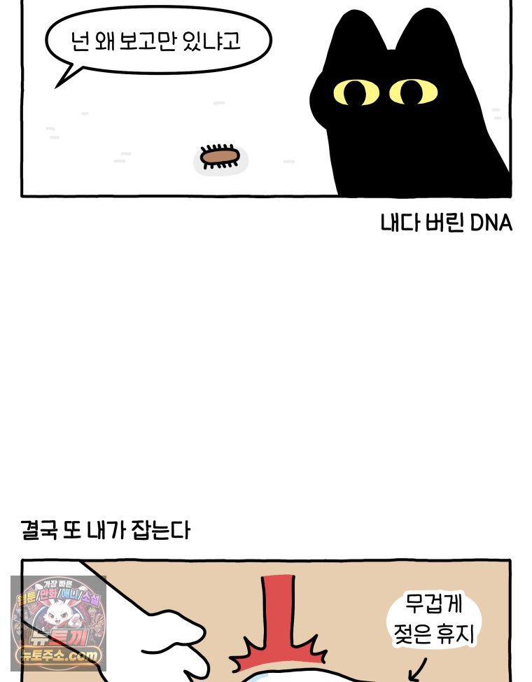 010.jpg