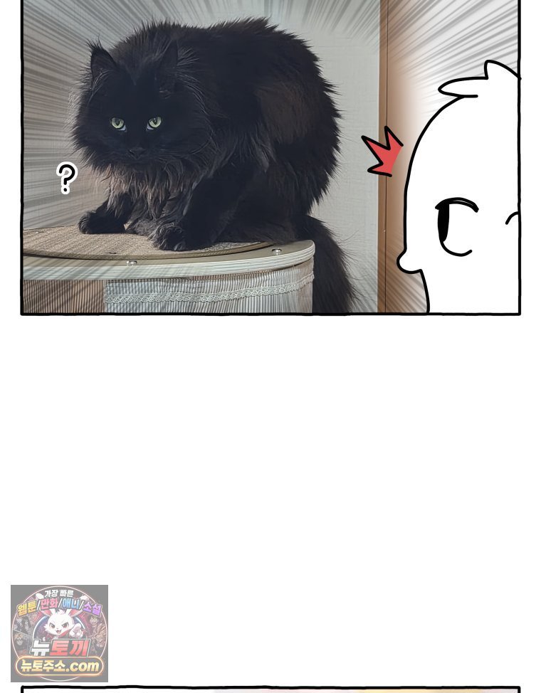 009.jpg