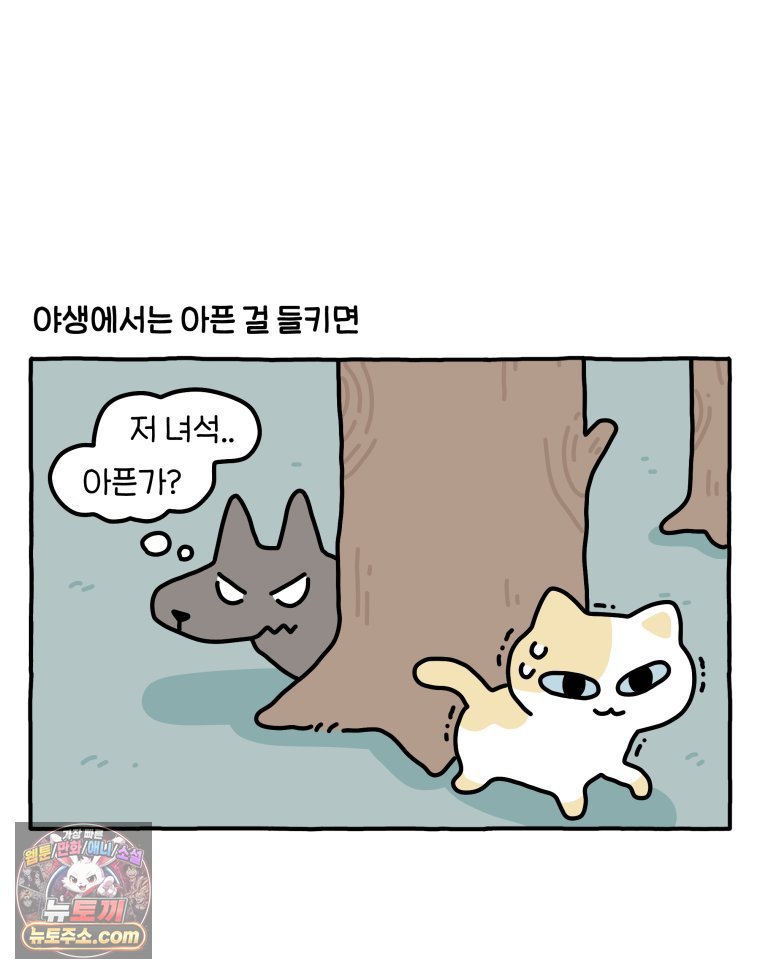 003.jpg