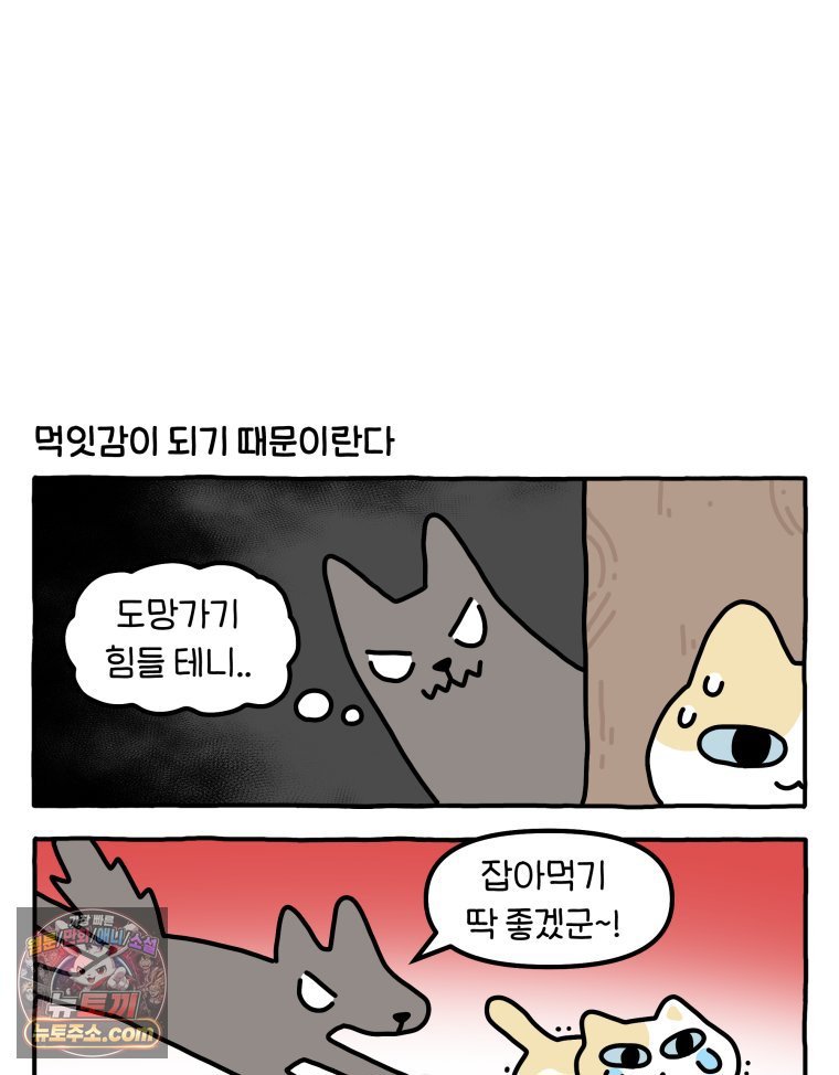 004.jpg