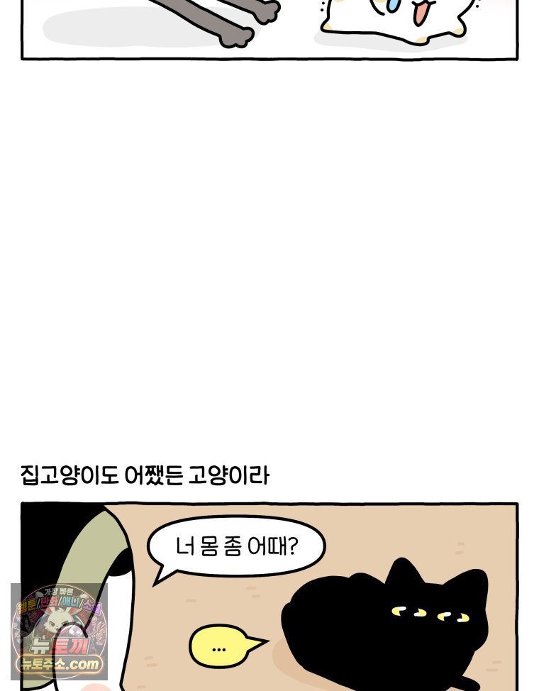 005.jpg