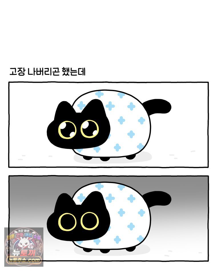 003.jpg