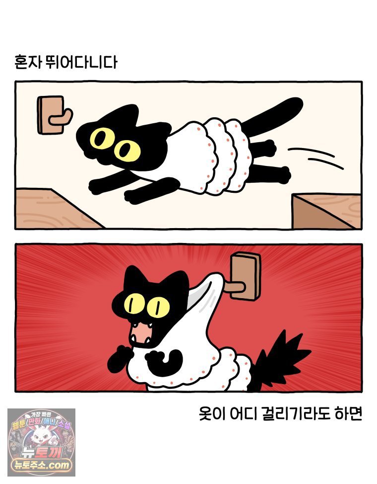 009.jpg