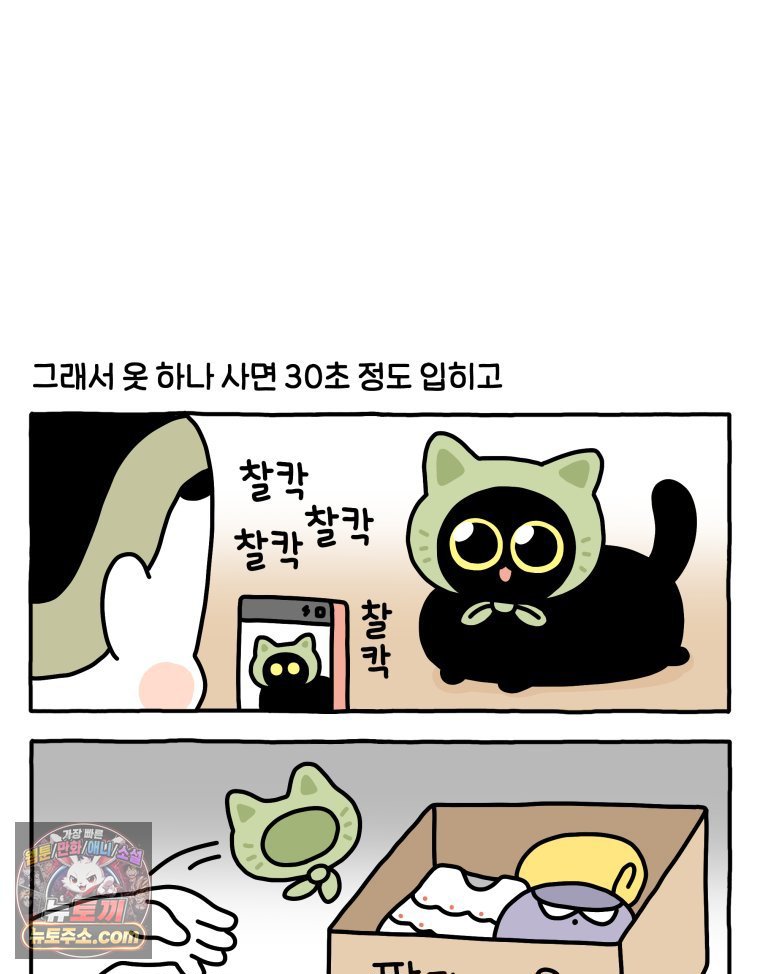 011.jpg