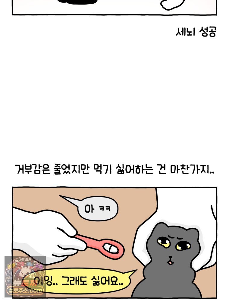 031.jpg