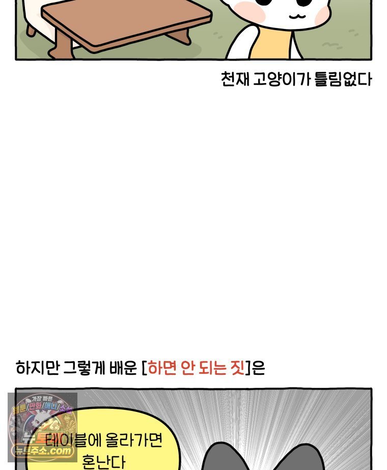 006.jpg
