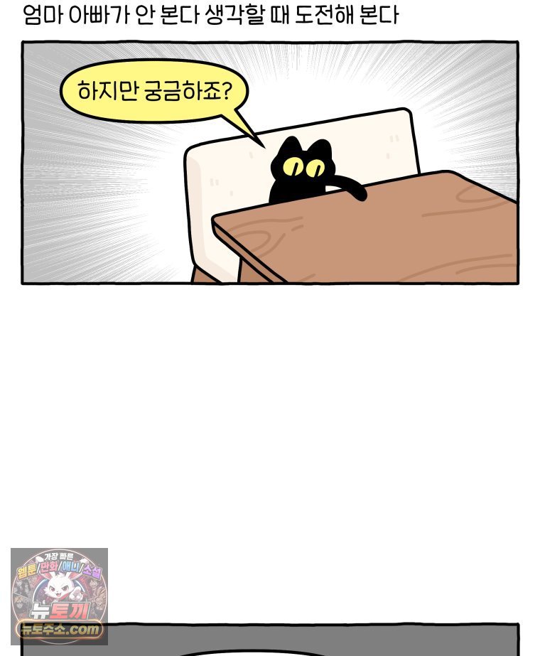 008.jpg