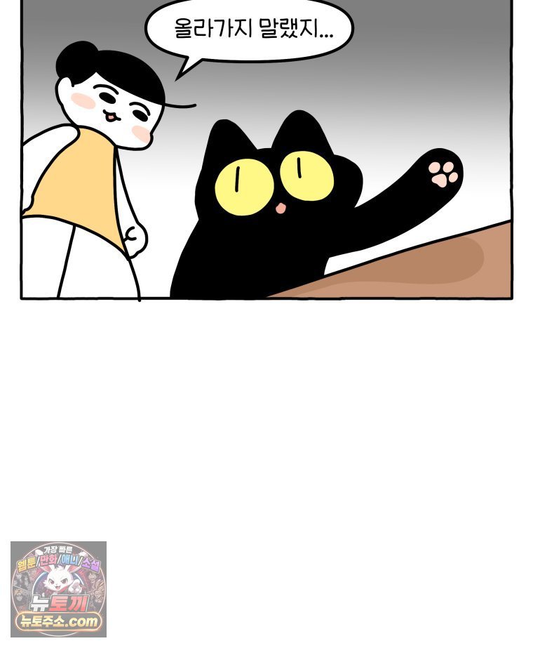 009.jpg
