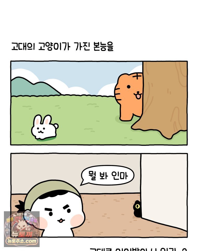 005.jpg