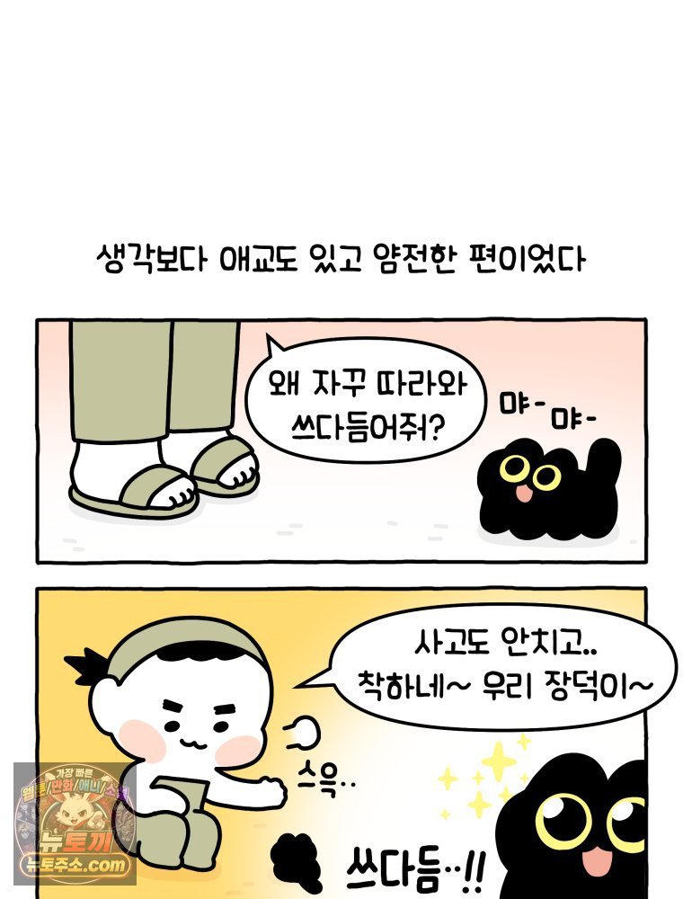 010.jpg