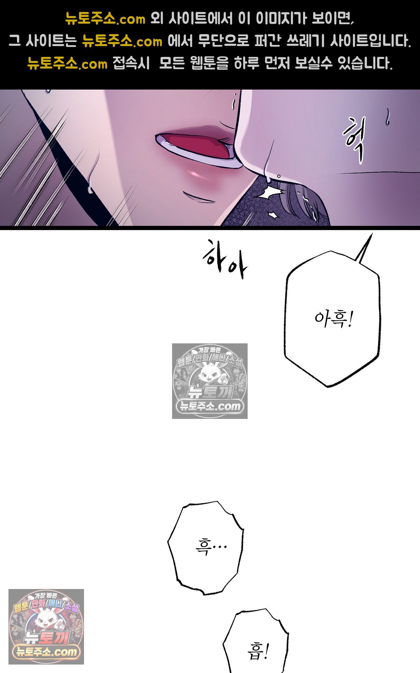 005.jpg