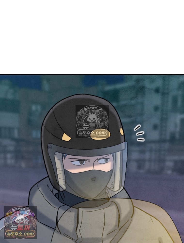 241.jpg