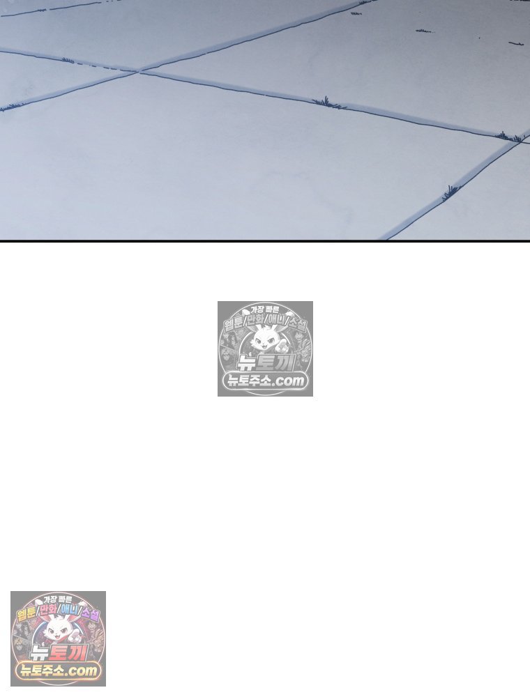 265.jpg