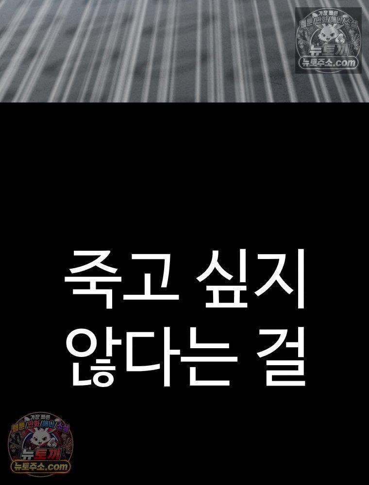 118.jpg
