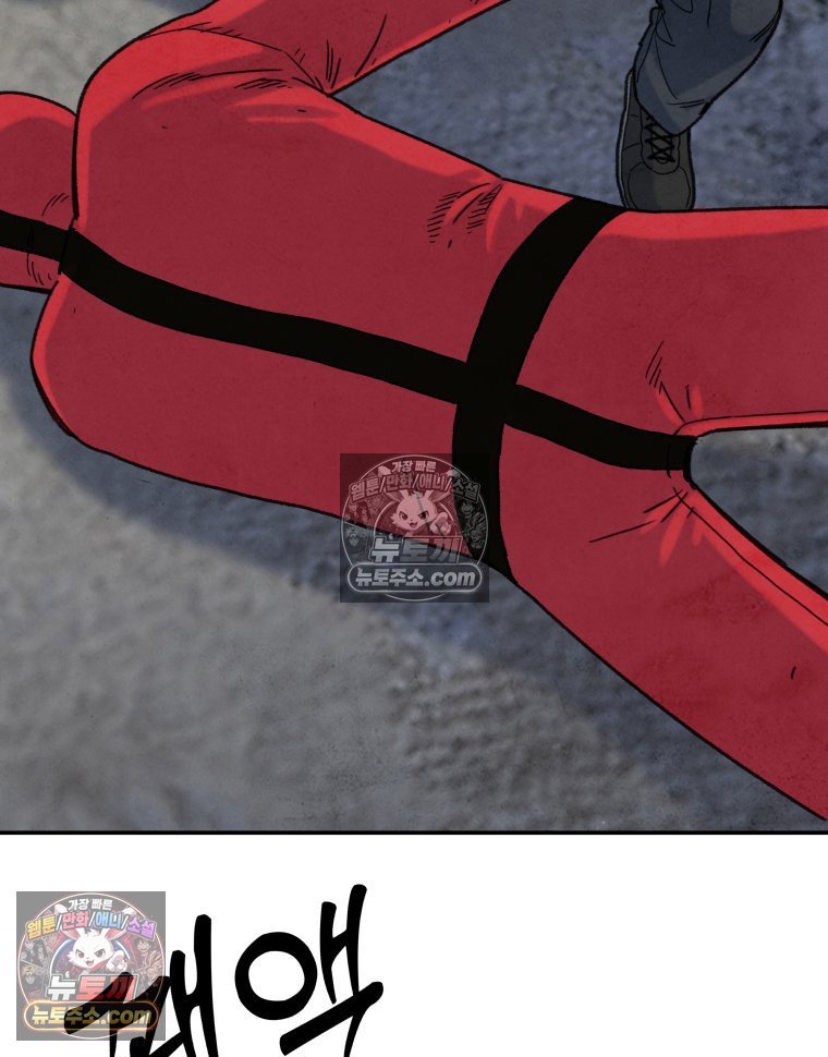 233.jpg