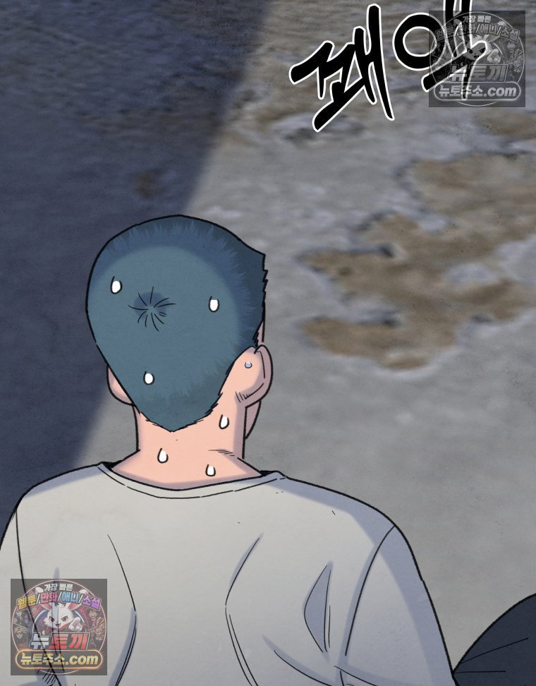 239.jpg