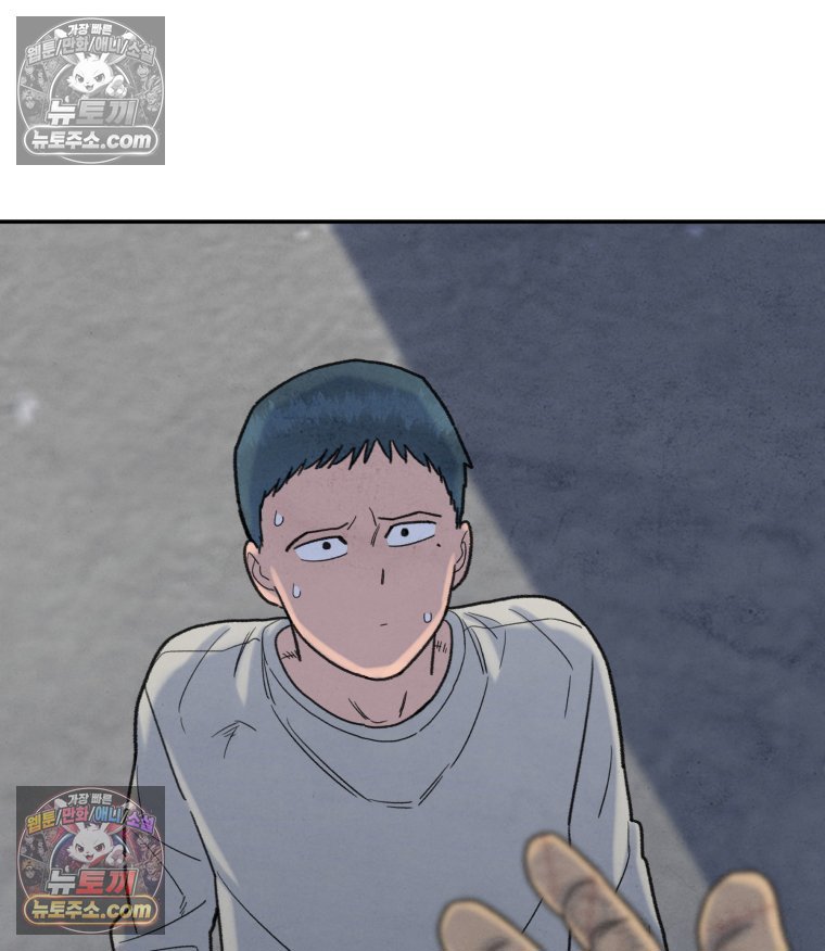 255.jpg