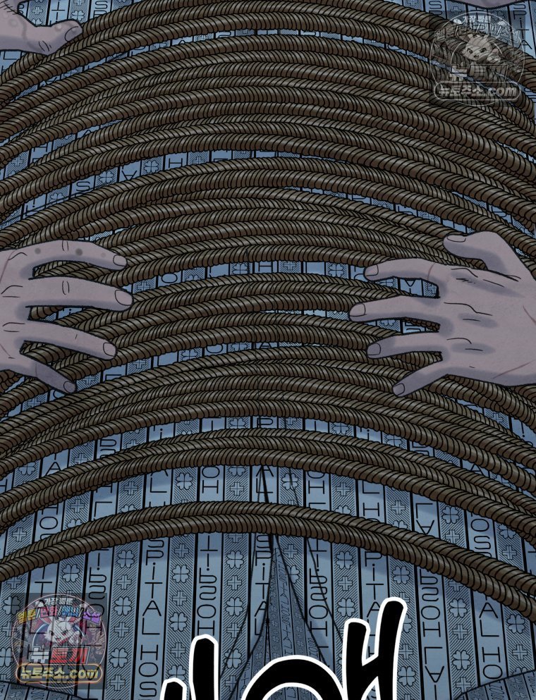 266.jpg