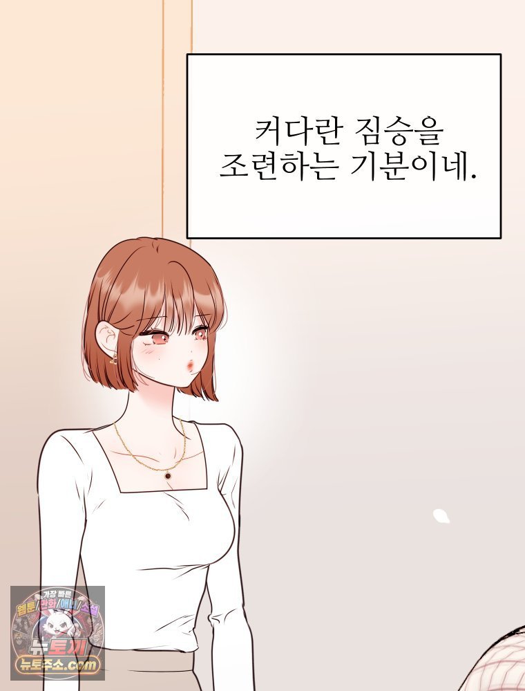 103.jpg