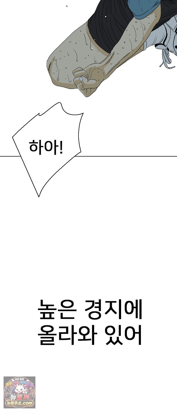 155.jpg