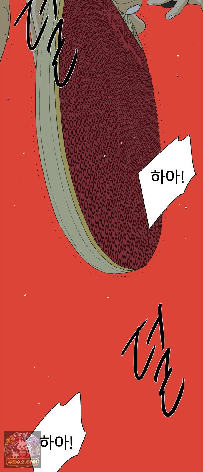 006.jpg