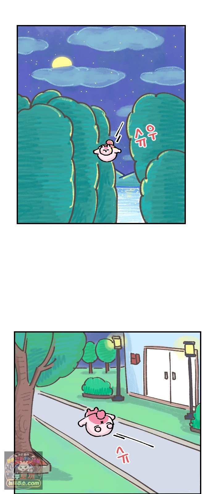 009.jpg