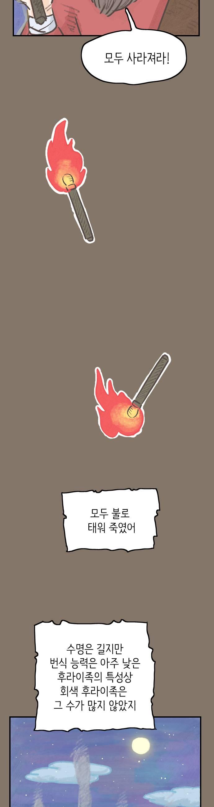 005.jpg