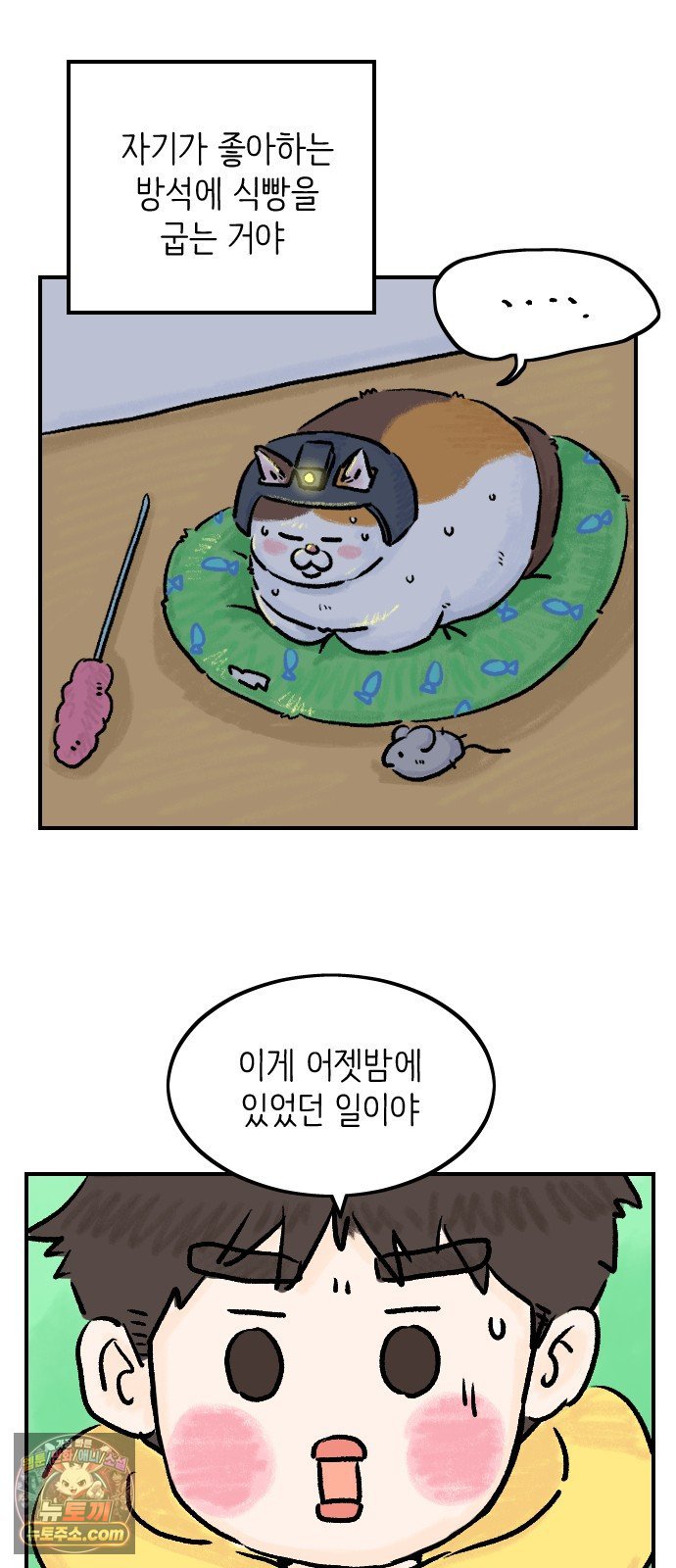 008.jpg