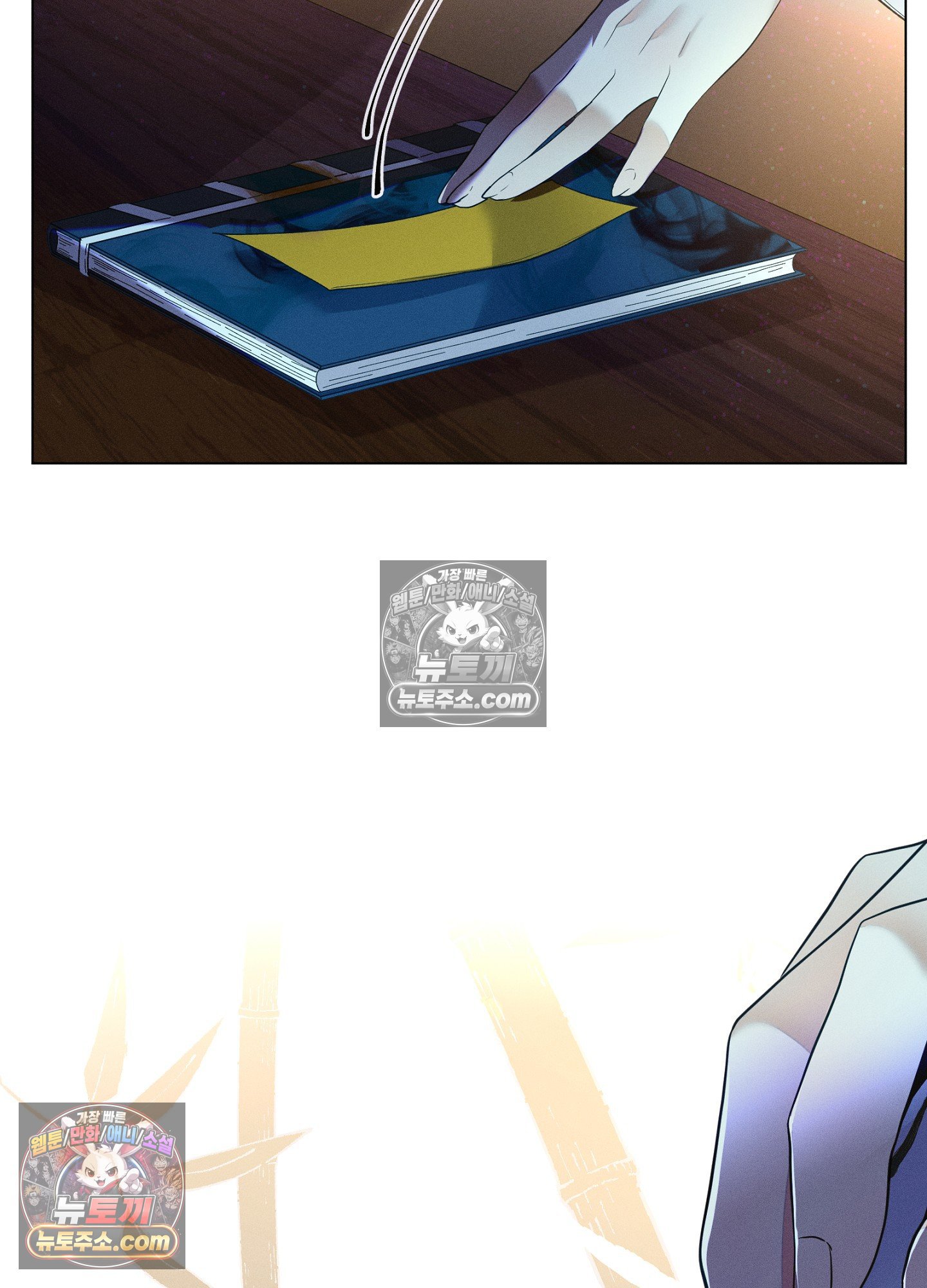 008.jpg