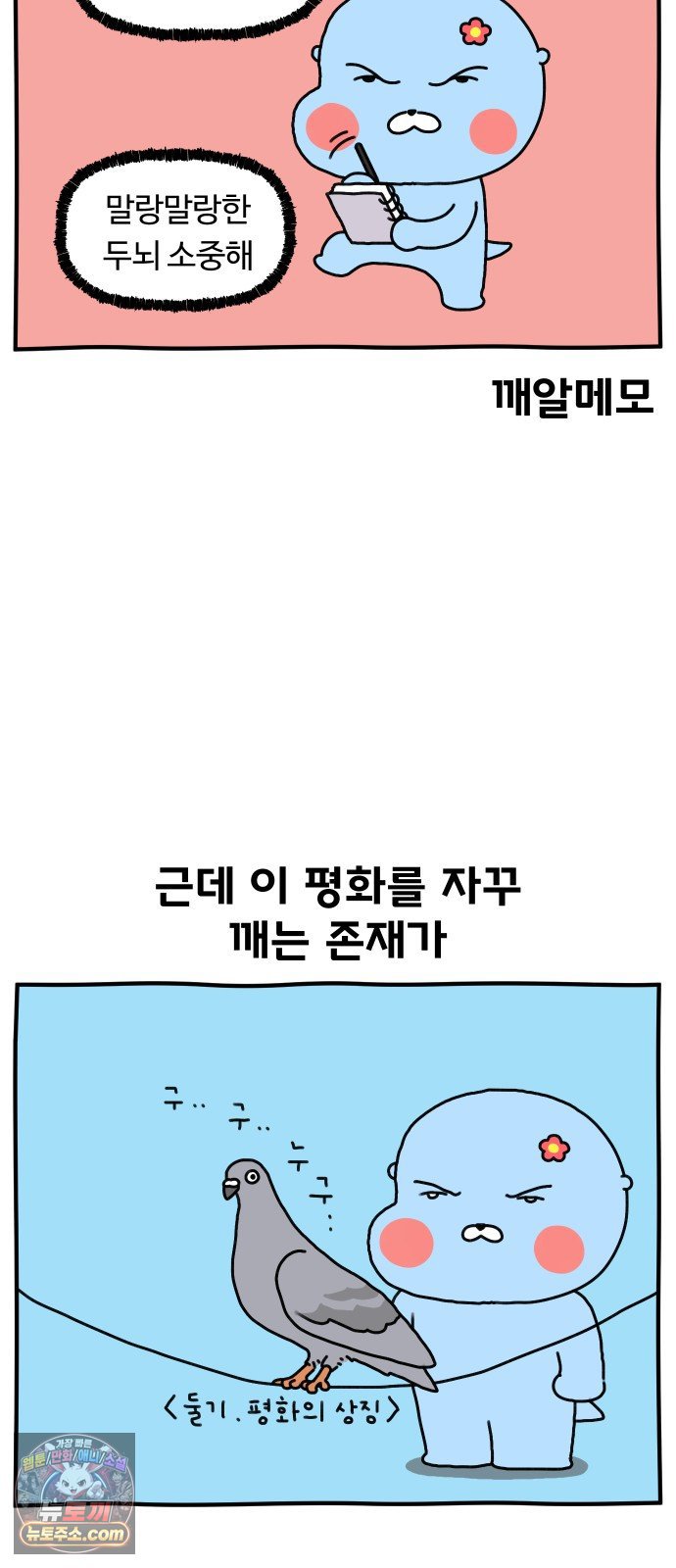 005.jpg