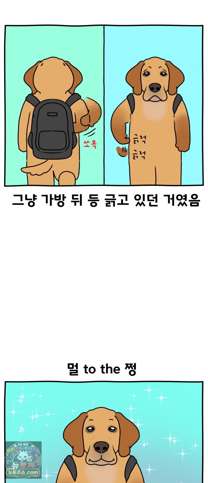 010.jpg
