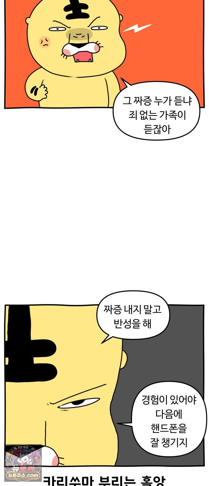 005.jpg